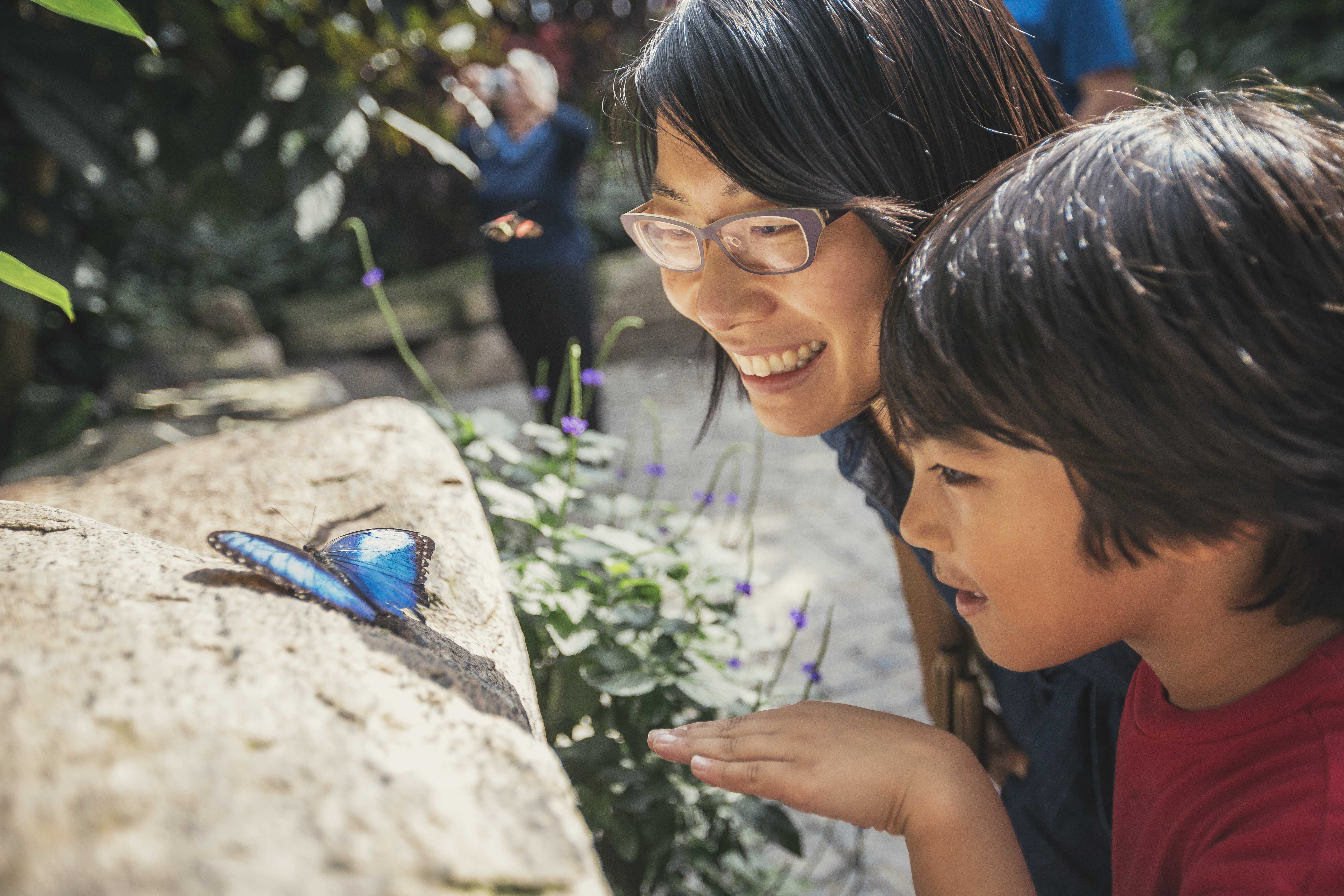 Butterfly Conservatory 
